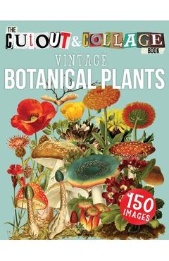 The Cut Out And Collage Book Vintage Botanical Plants: 150 High Quality Vintage Plants Illustrations For Collage and Mixed Media Artists - Collage Heaven