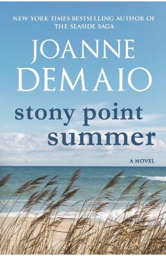 Stony Point Summer - Joanne Demaio