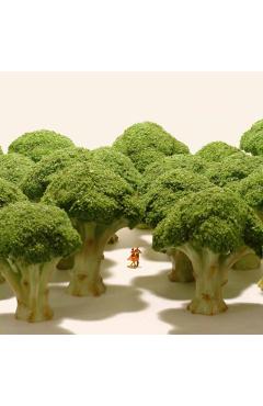 Small Wonders - Life Portrait in Miniature - Tatsuya Tanaka