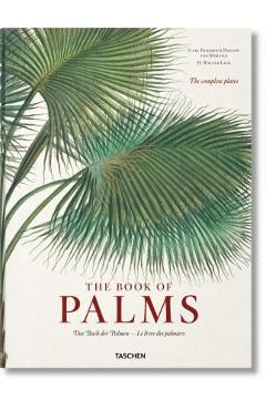 Martius. the Book of Palms - H. Walter Lack