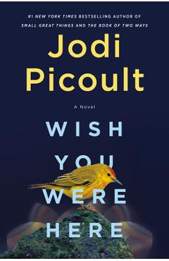 Wish You Were Here - Jodi Picoult