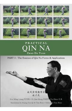 Practical Qin Na Part 3: The Essence of Qin Na - Forms & Applications - Tom Bisio