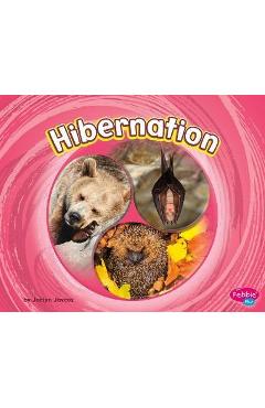 Hibernation - Jaclyn Jaycox