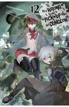 Is It Wrong to Try to Pick Up Girls in a Dungeon?, Vol. 12 (Light Novel) - Fujino Omori