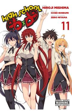 High School DXD, Vol. 11 - Hiroji Mishima
