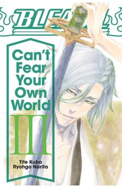 Bleach: Can\'t Fear Your Own World, Vol. 3 - Ryohgo Narita