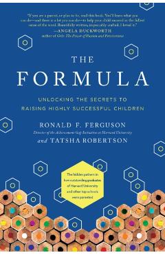 The Formula: Unlocking the Secrets to Raising Highly Successful Children - Ronald F. Ferguson