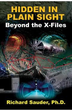 Hidden in Plain Sight: Beyond the X-Files - Richard Sauder Phd - Imagine 1
