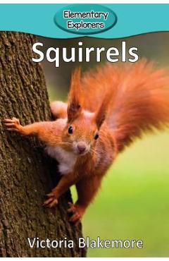 Squirrels - Victoria Blakemore