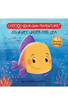 Journey under the sea (board book) - r. a. montgomery