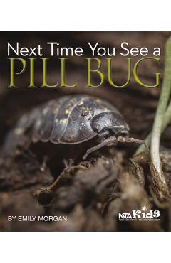 Next Time You See a Pill Bug - Emily Morgan