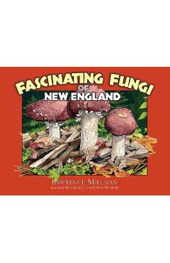 Fascinating Fungi of New England - Lawrence Millman