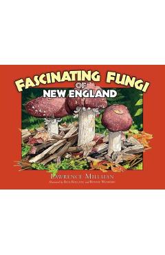 Fascinating Fungi of New England - Lawrence Millman