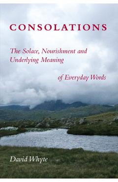 Consolations: The Solace, Nourishment and Underlying Meaning of Everyday Words - David Whyte