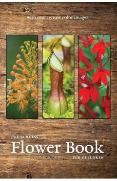 The Burgess Flower Book with new color images - Thornton Burgess
