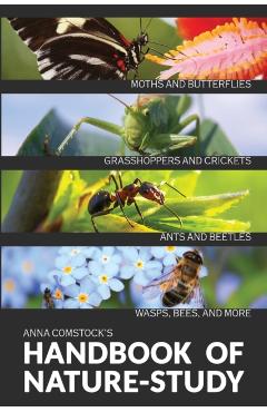 The Handbook Of Nature Study in Color - Insects - Anna B. Comstock