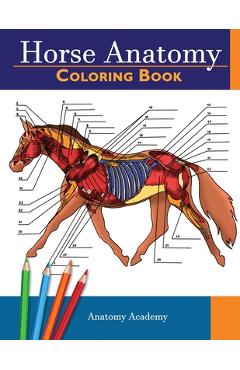 Horse Anatomy Coloring Book: Incredibly Detailed Self-Test Equine Anatomy Color workbook - Perfect Gift for Veterinary Students, Horse Lovers & Adu - Anatomy Academy