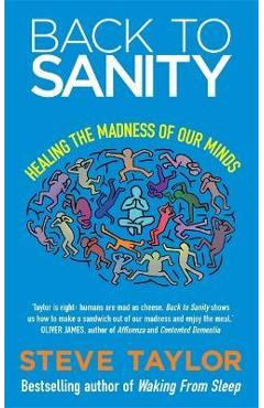 Back to Sanity: Healing the Madness of Our Minds - Steve Taylor