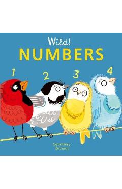 Numbers - Courtney Dicmas