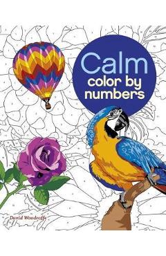 Calm Color by Numbers - David Woodroffe
