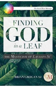Finding God in a Leaf: The Mysticism of Laudato Si\' - Brian Grogan