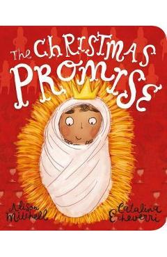 The Christmas Promise Board Book