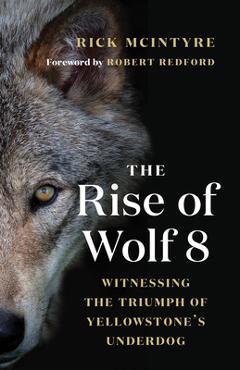 The Rise of Wolf 8: Witnessing the Triumph of Yellowstone\'s Underdog - Rick Mcintyre