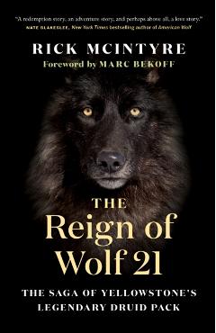 The Reign of Wolf 21: The Saga of Yellowstone's Legendary Druid Pack - Rick Mcintyre
