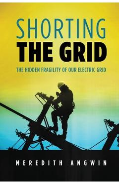 Shorting the Grid: The Hidden Fragility of Our Electric Grid - Meredith Angwin