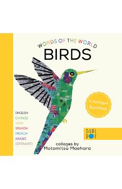 Birds (Multilingual Board Book) - Motomitsu Maehara