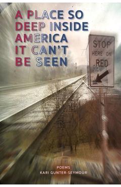 A Place So Deep Inside America It Can\'t Be Seen: Poems - Kari Gunter-seymour