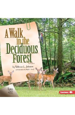 A Walk in the Deciduous Forest, 2nd Edition - Rebecca L. Johnson