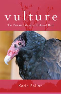 Vulture: The Private Life of an Unloved Bird - Katie Fallon
