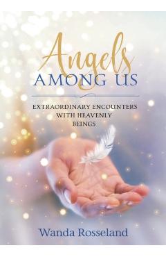 Angels Among Us: Extraordinary Encounters with Heavenly Beings - Wanda Rosseland