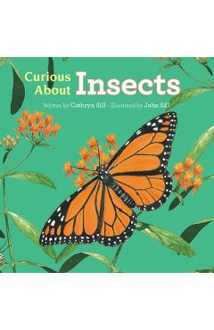 Curious about Insects - Cathryn Sill