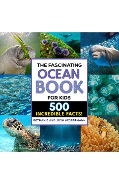The Fascinating Ocean Book for Kids: 500 Incredible Facts! - Bethanie Hestermann