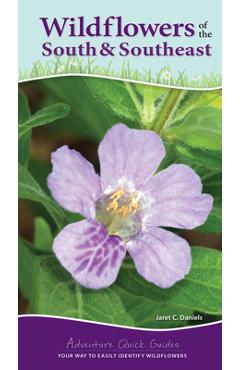 Wildflowers of the South & Southeast: Your Way to Easily Identify Wildflowers