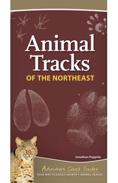 Animal Tracks of the Northeast: Your Way to Easily Identify Animal Tracks - Jonathan Poppele