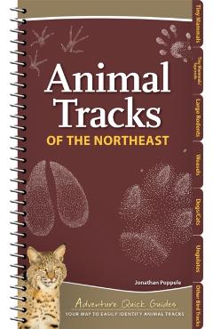 Animal Tracks of the Northeast: Your Way to Easily Identify Animal Tracks - Jonathan Poppele