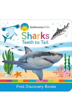 Sharks: Teeth to Tail - Jaye Garnett