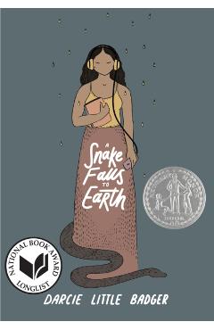 A Snake Falls to Earth - Darcie Little Badger