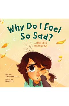 Why Do I Feel So Sad?: A Grief Book for Children - Tracy Lambert-prater