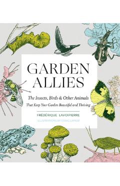 Garden Allies: The Insects, Birds, and Other Animals That Keep Your Garden Beautiful and Thriving - Frederique Lavoipierre