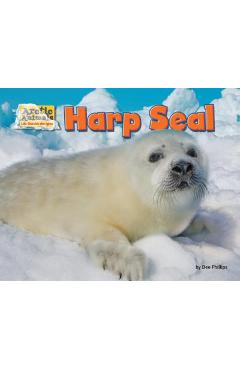 Harp Seal - Dee Phillips
