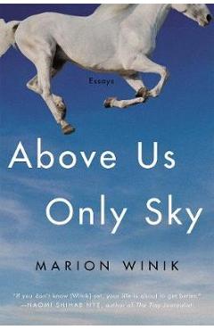 Above Us Only Sky: Essays - Marion Winik