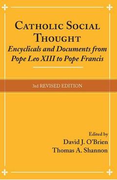 Catholic Social Thought: Encyclicals and Documents from Pope Leo XIII to Pope Francis - David J. O\'brien
