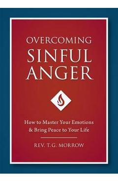 Overcoming Sinful Anger - Fr T. Morrow