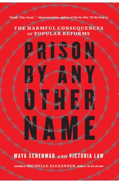 Prison by Any Other Name: The Harmful Consequences of Popular Reforms - Maya Schenwar