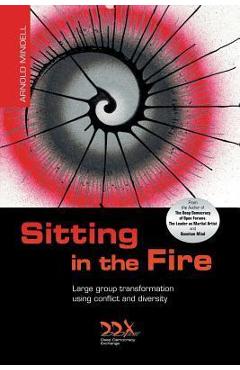 Sitting in the Fire: Large Group Transformation Using Conflict and Diversity - Arnold Mindell