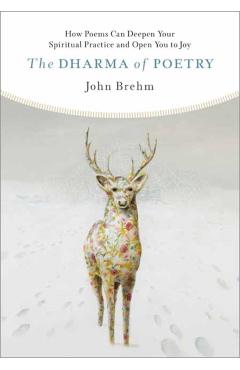 The Dharma of Poetry: How Poems Can Deepen Your Spiritual Practice and Open You to Joy - John Brehm